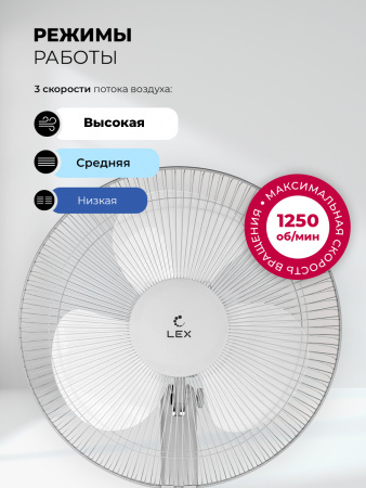 LEX LXFC8312